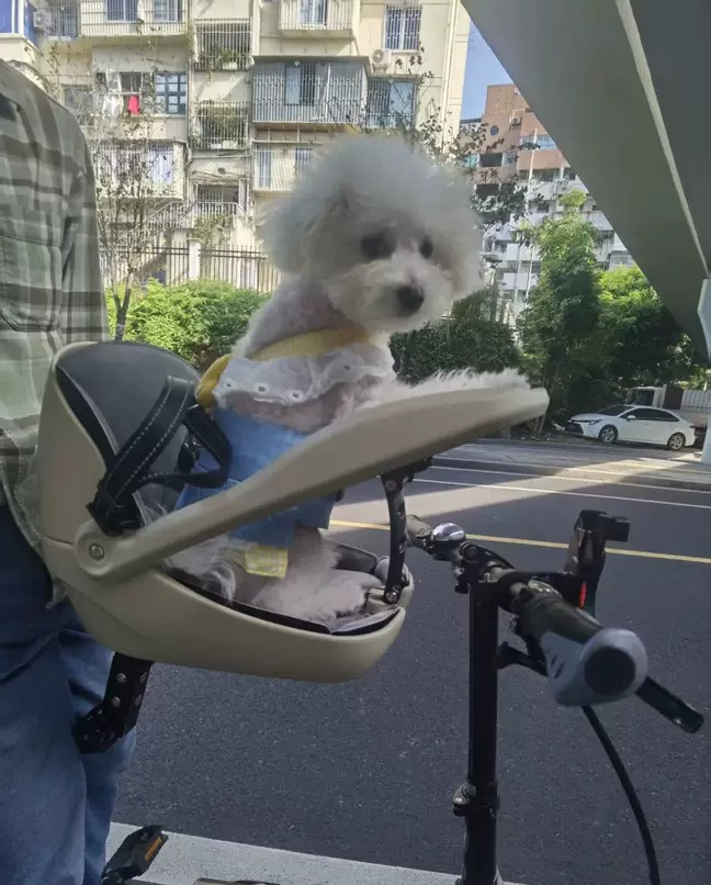 Suitable for folding bicycles, - Mountain Biking With Dog ulasan dan harga